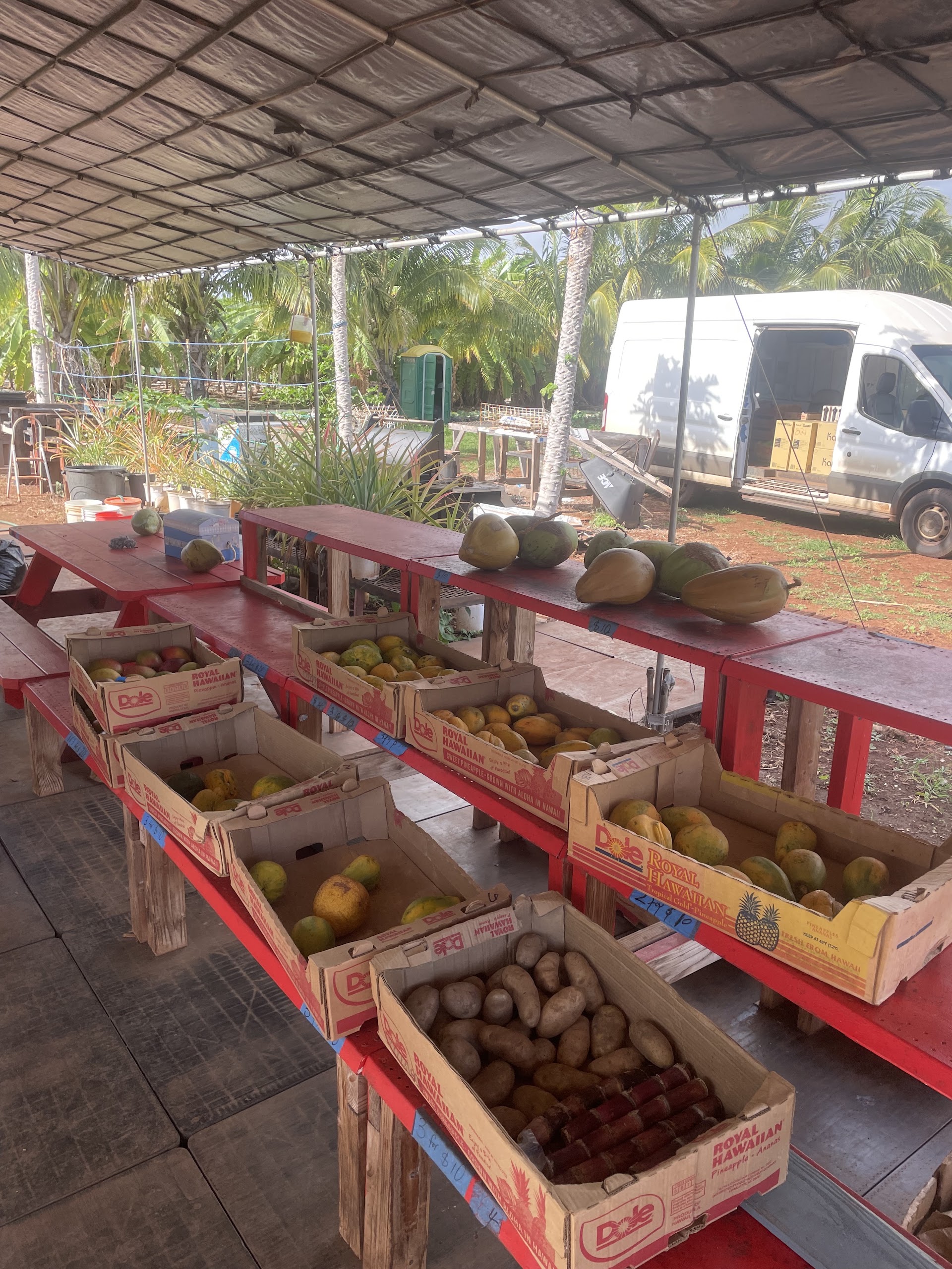 Fresh Fruit Stand