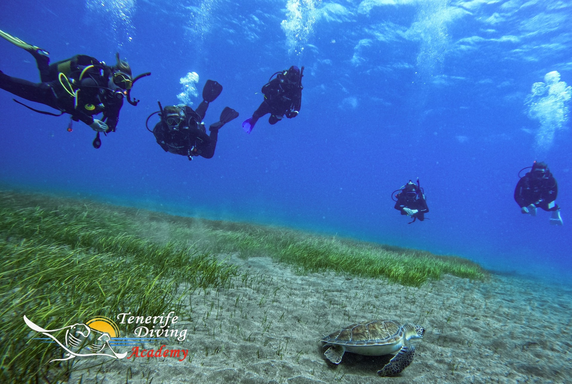 Tenerife Diving Academy 5 Star Dive Centre