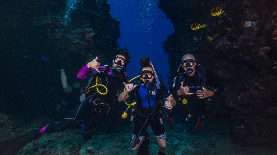 Dive Maui / Hawaiian Rafting Adventures