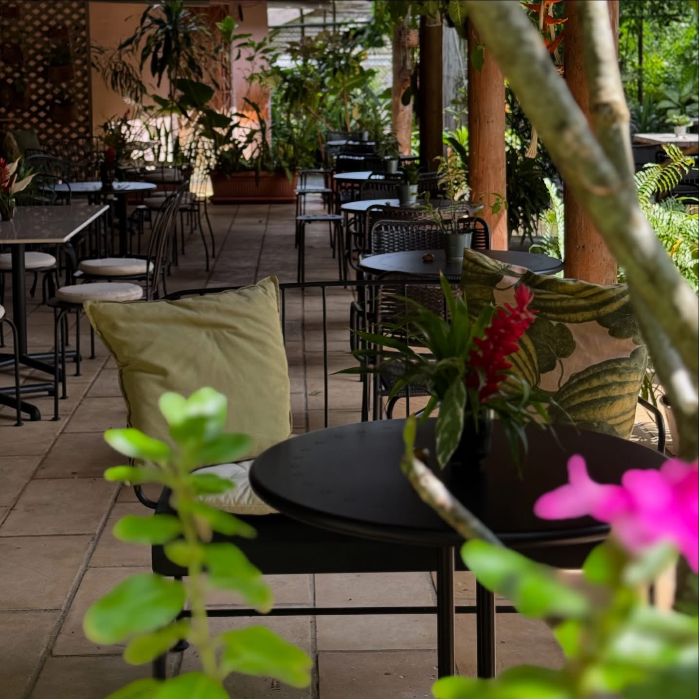 Wildflour Cafe