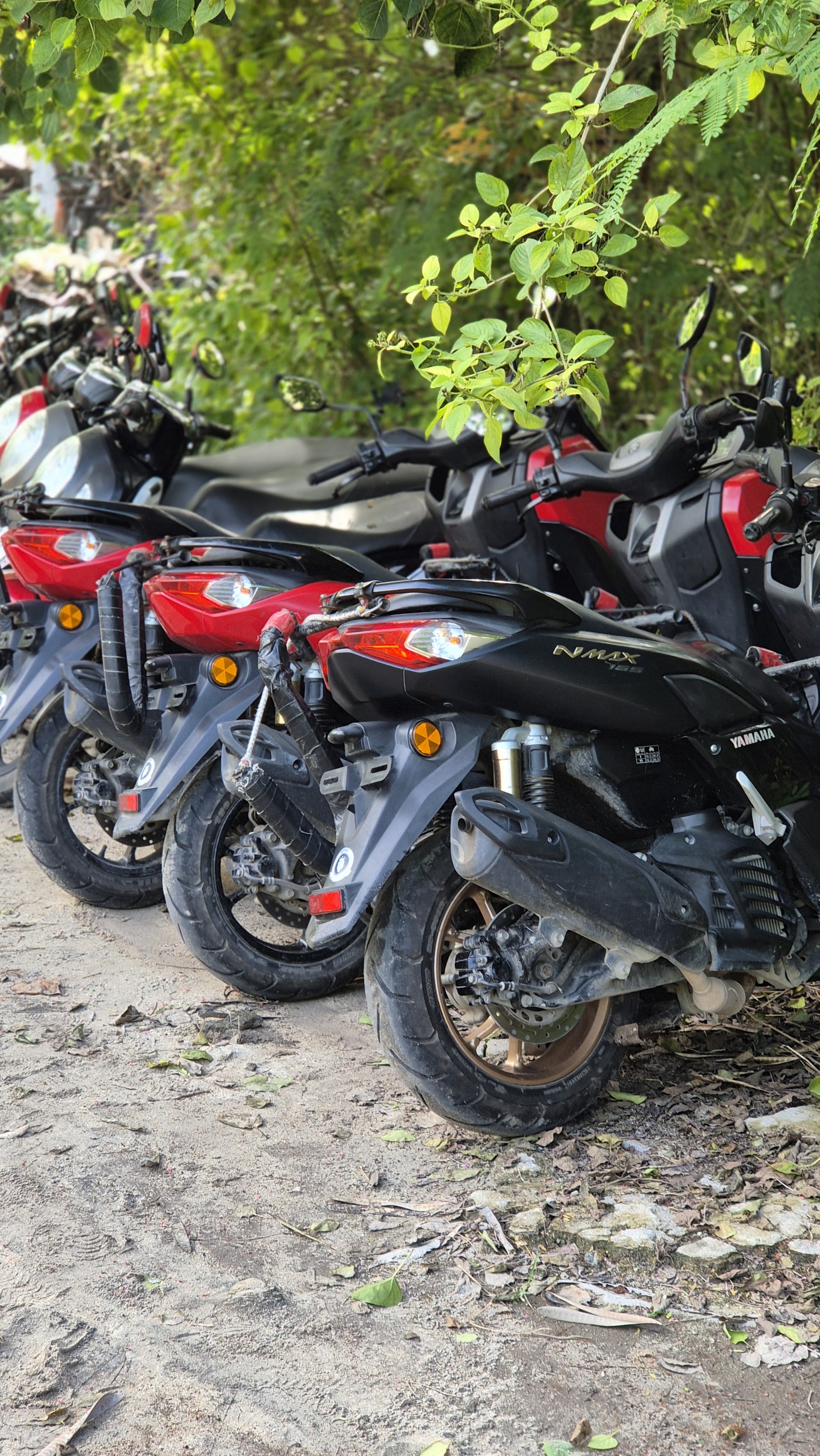 Quad & Buggy Tours in Dream Beach