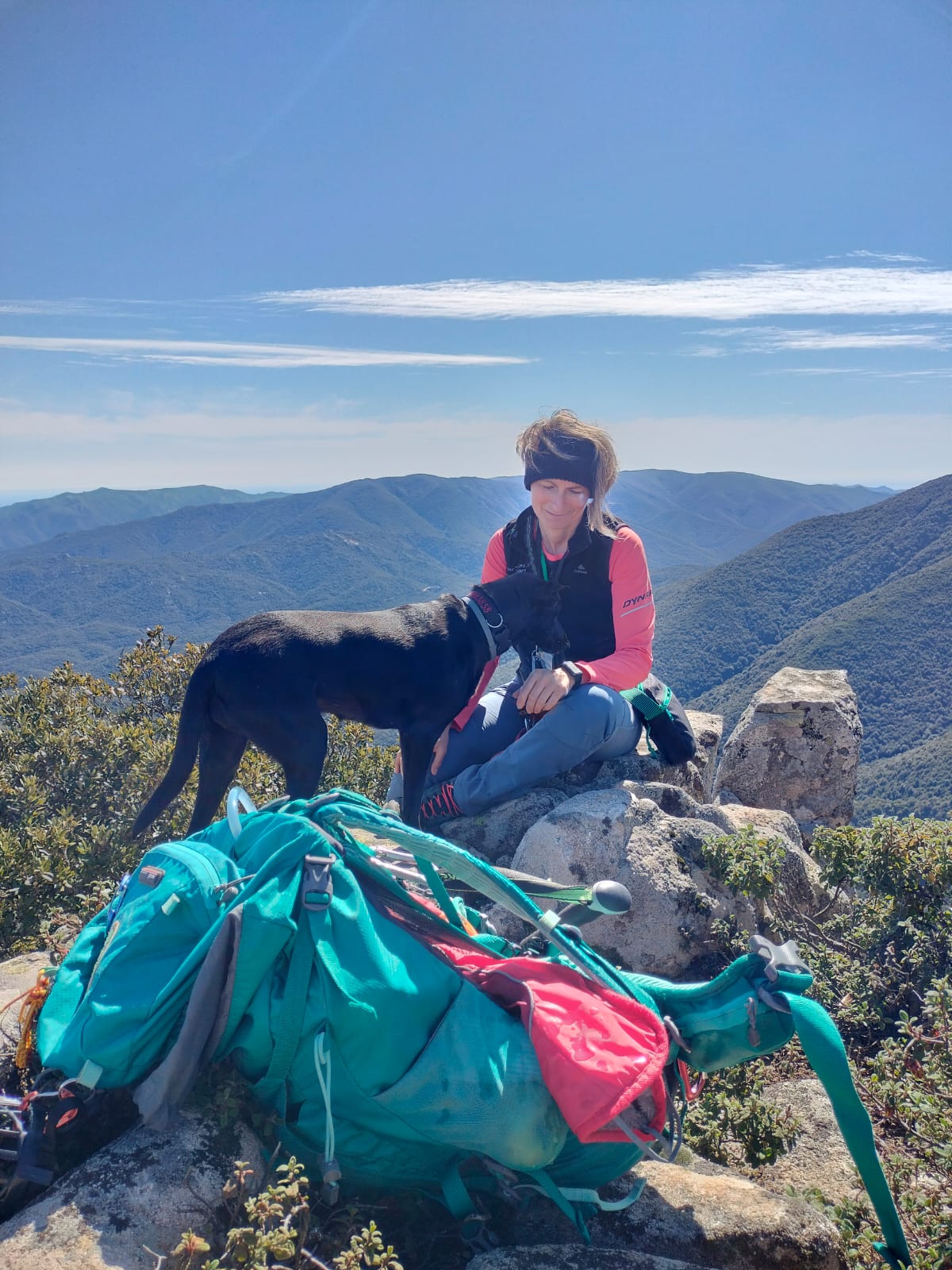 Dogtrekking_plus