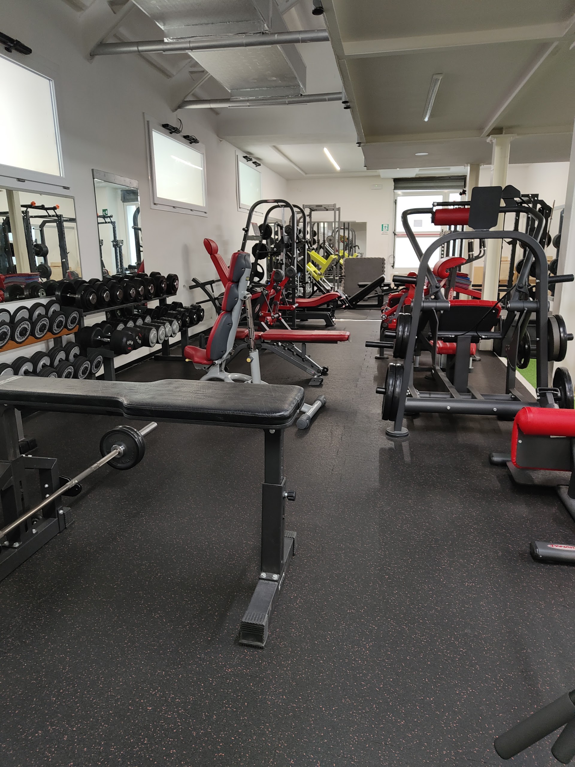 Palestra Colosseum Fitness Club