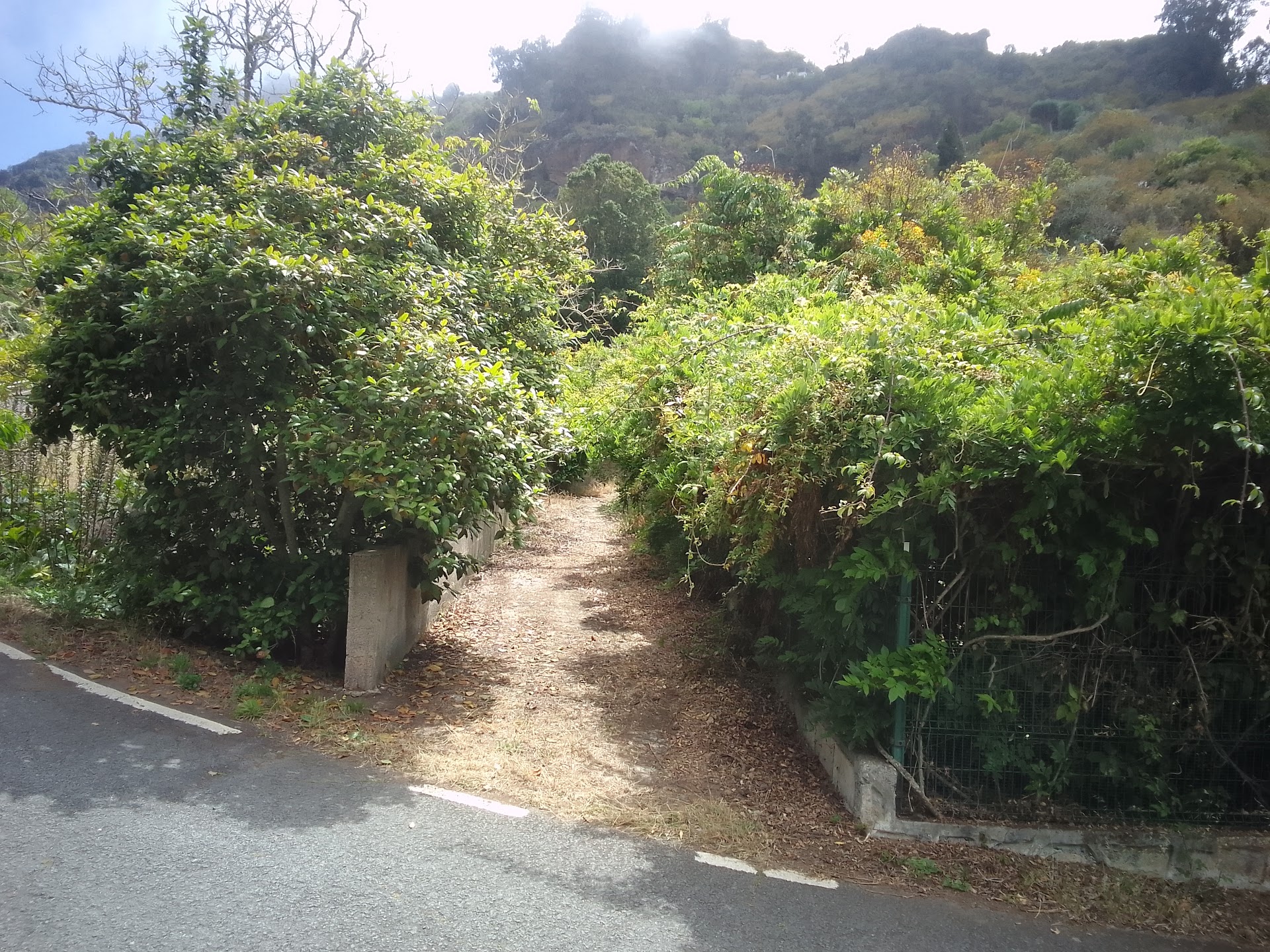 SENDERO BARRANCO OSCURO