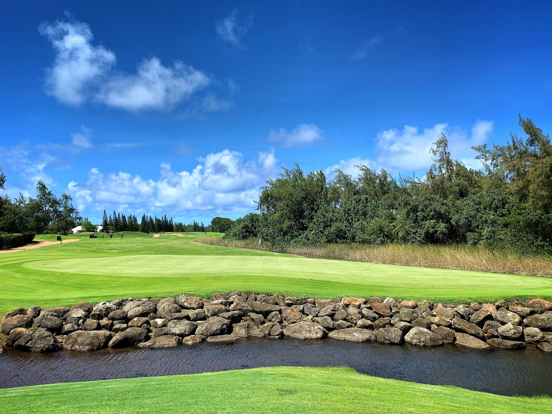 Turtle Bay Golf