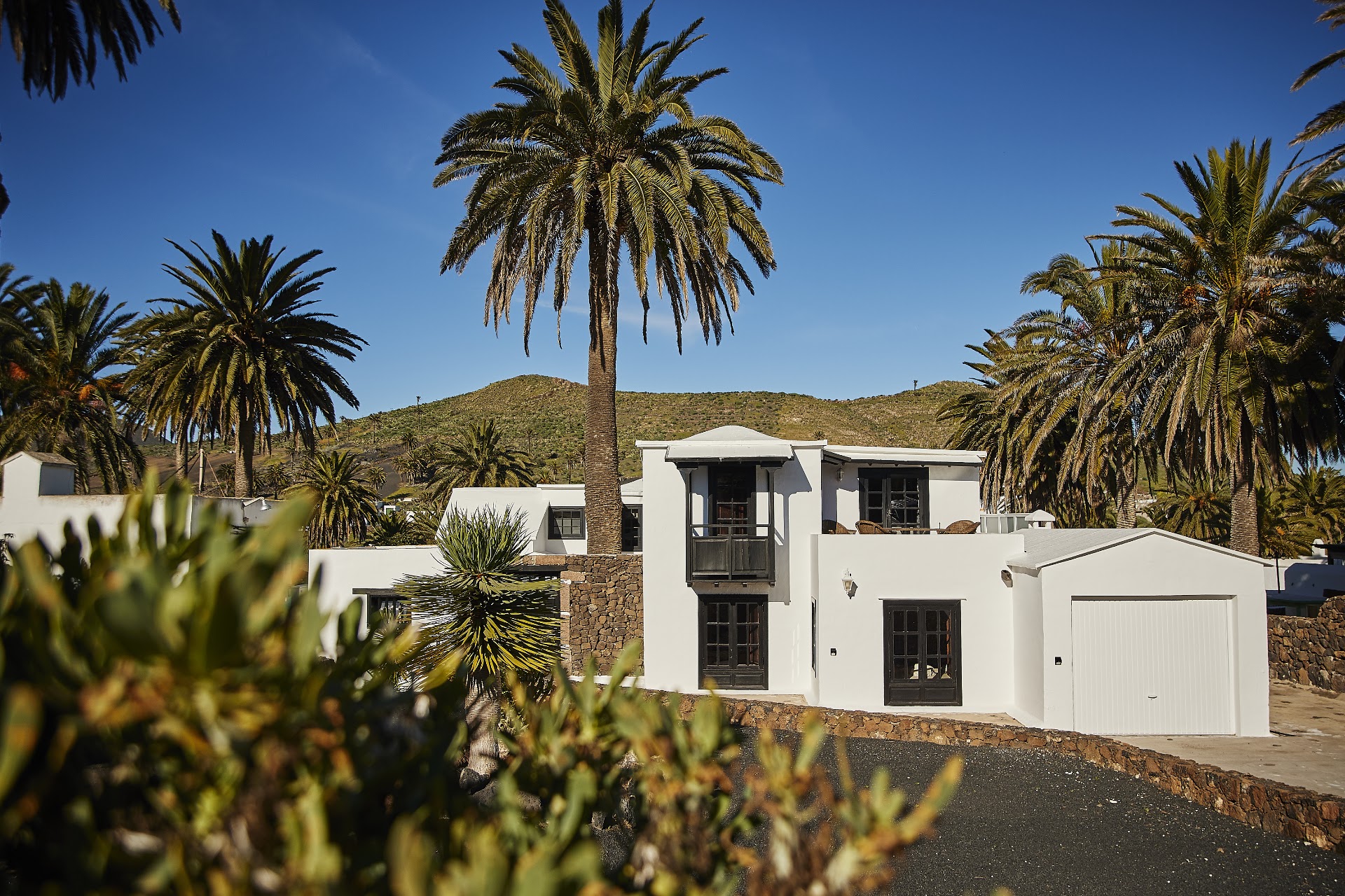 Casita Palmera
