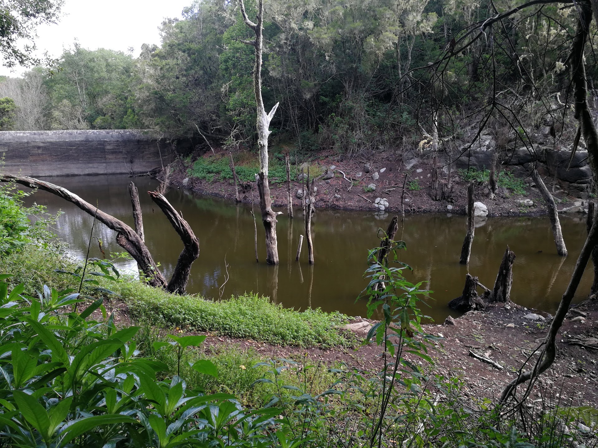 Presa de Meriga