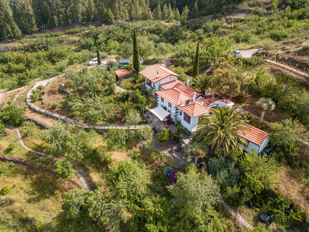 Tobias Freitag | Hacienda La Palma