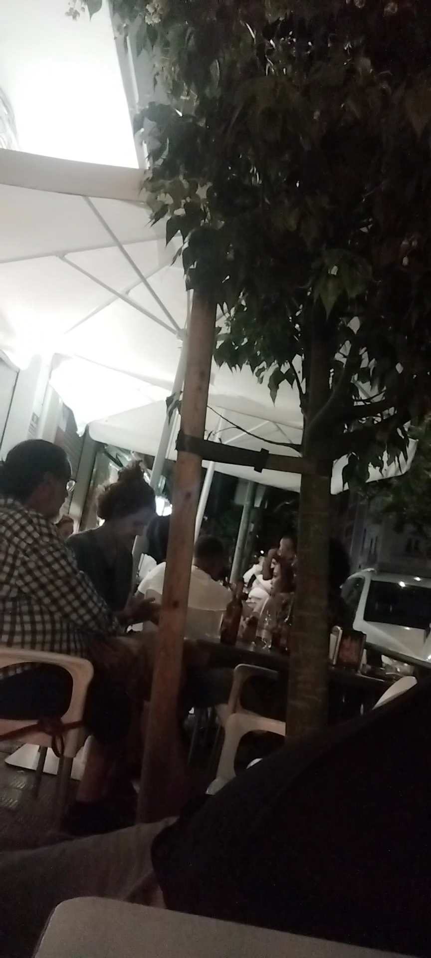 Bar el sabor dominicano