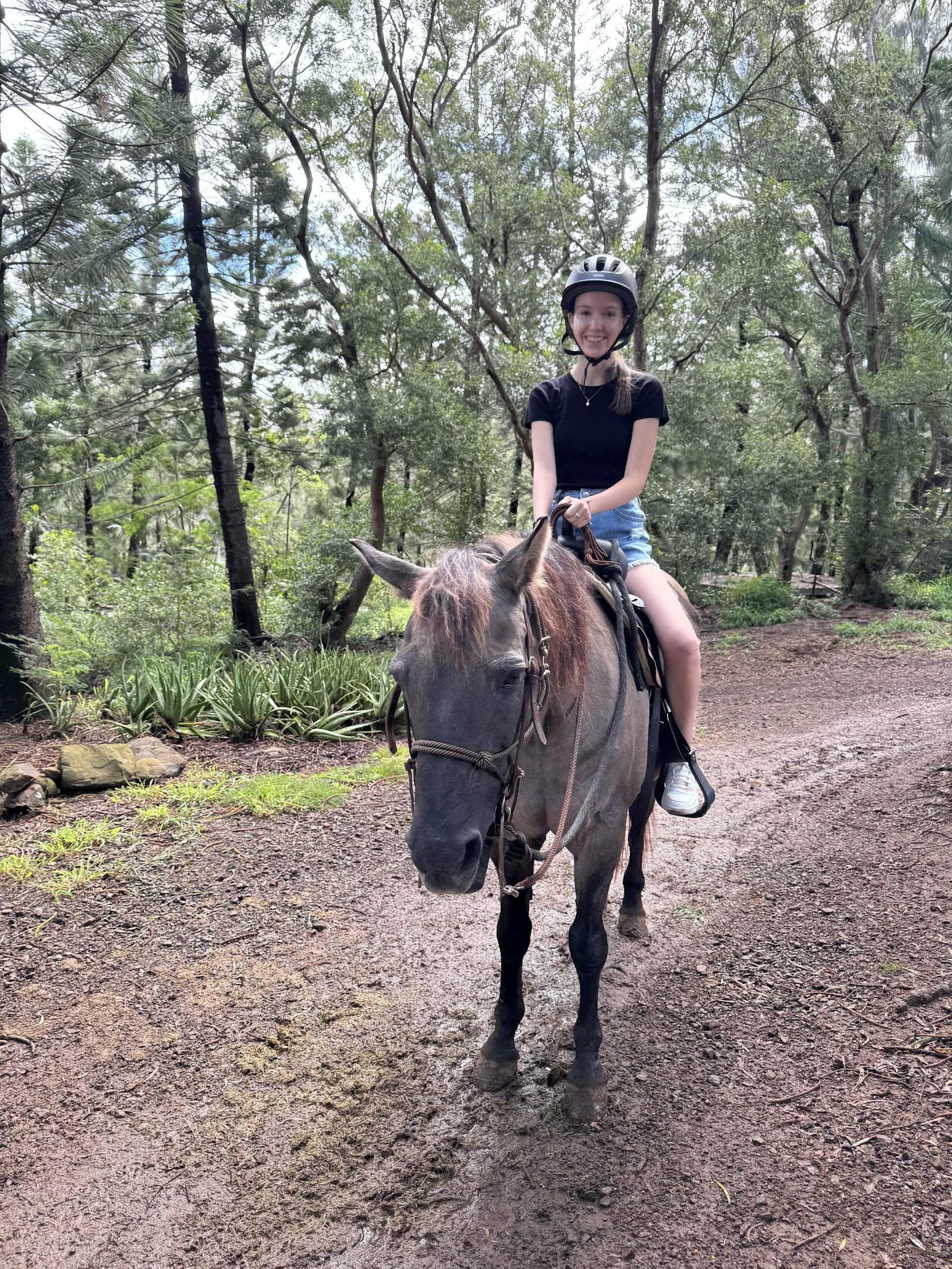 Ironwood Ranch Horseback Riding