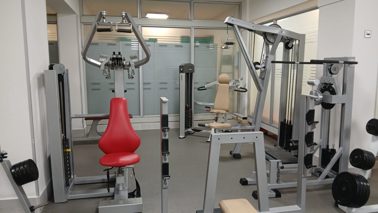 MC Fitness