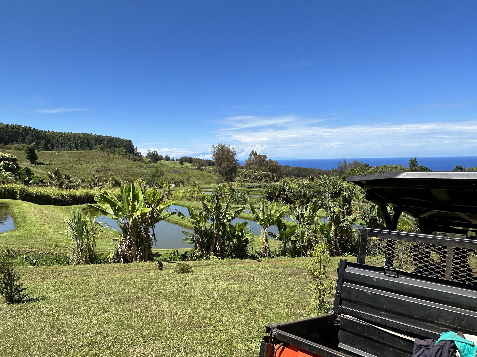All About the View ATV UTV Scenic Tour