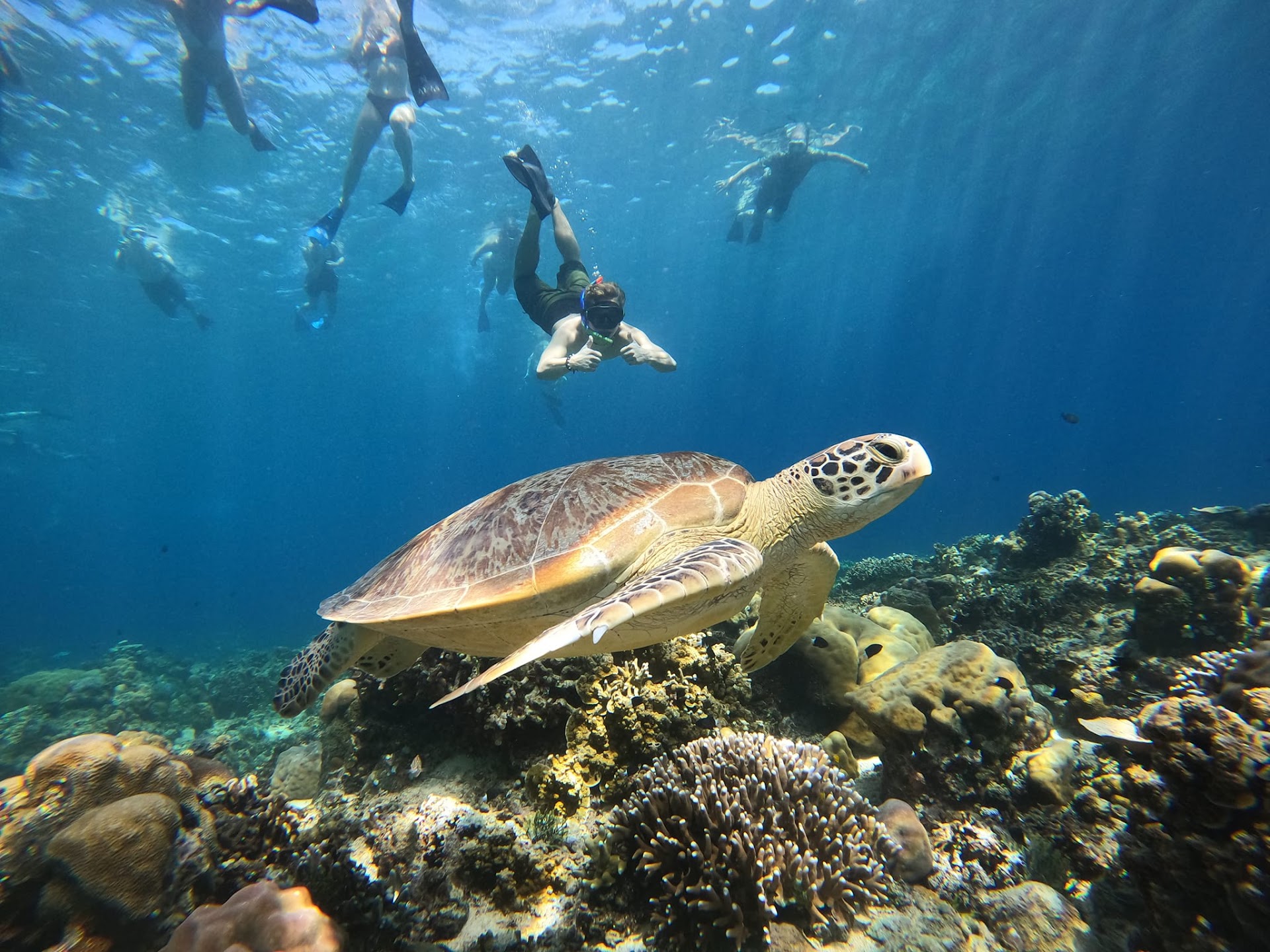 Snorkeling Gili LUCKY TRIPS