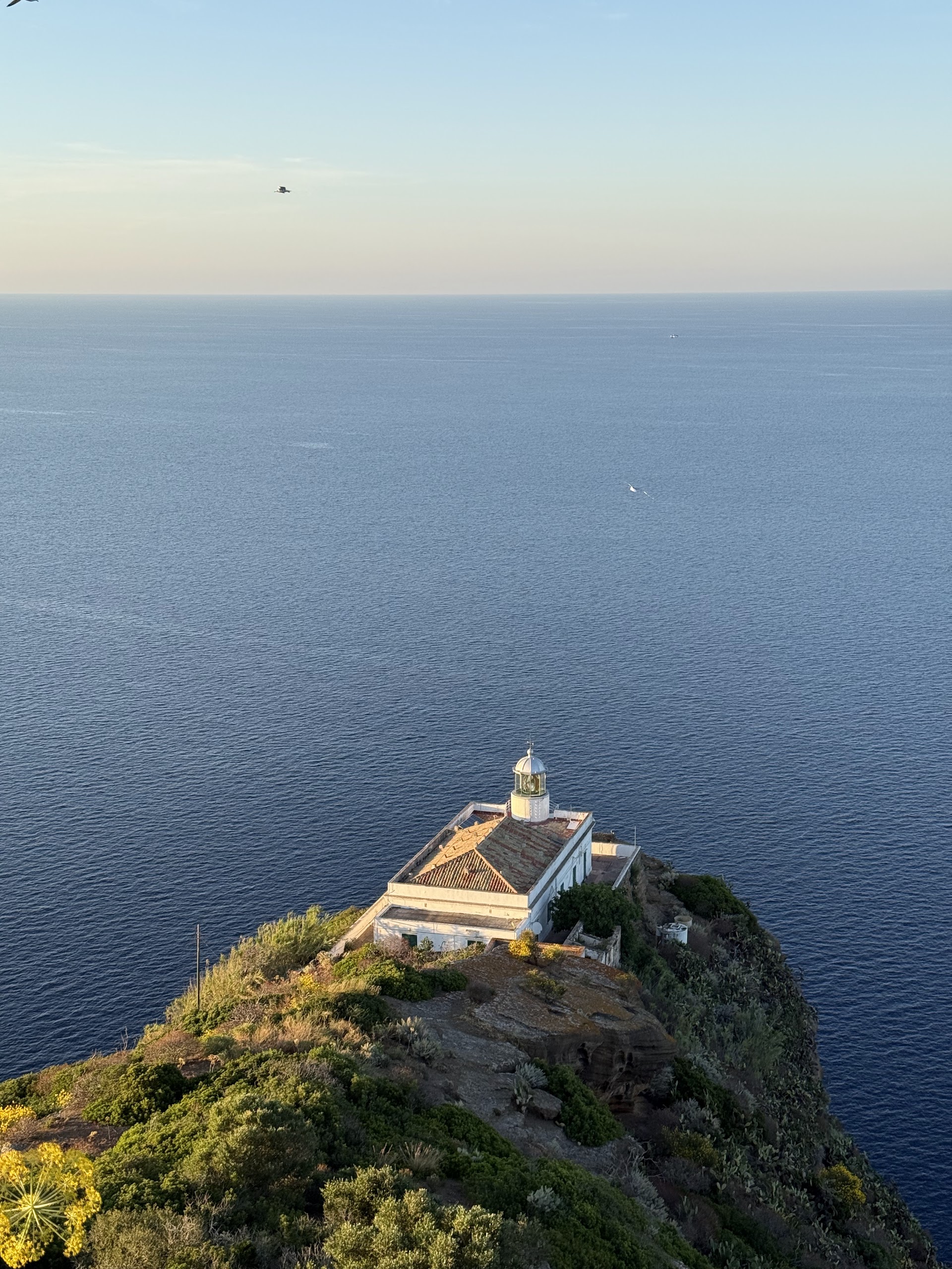 Rocca della Falconiera