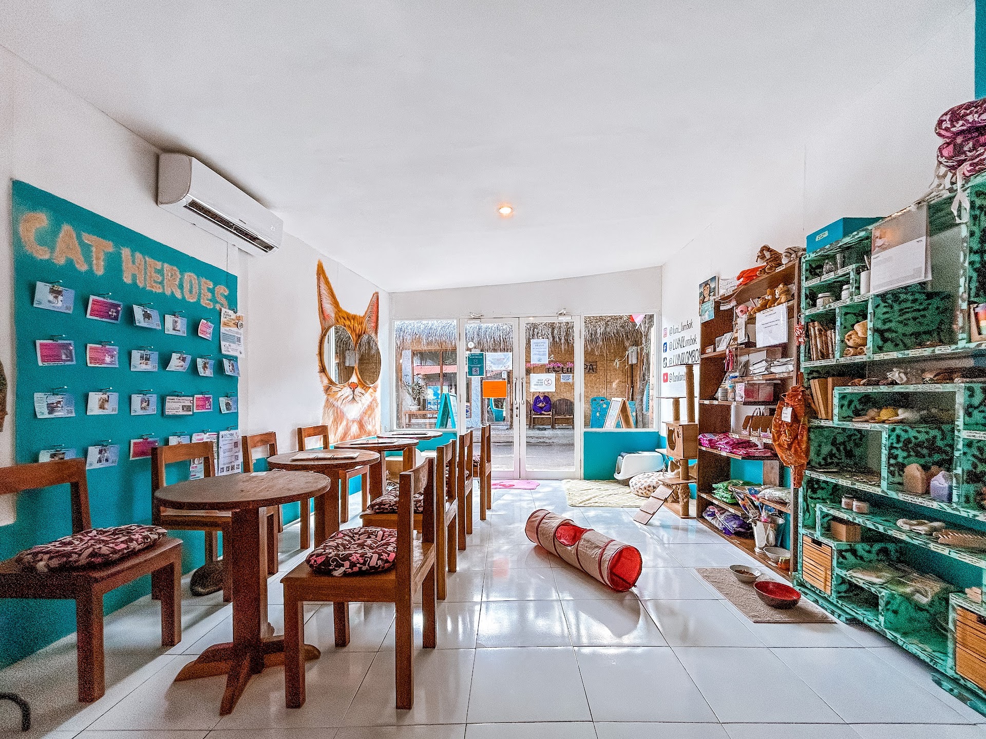 LUNI Lombok Cat Cafe, Shop & Veterinary Clinic
