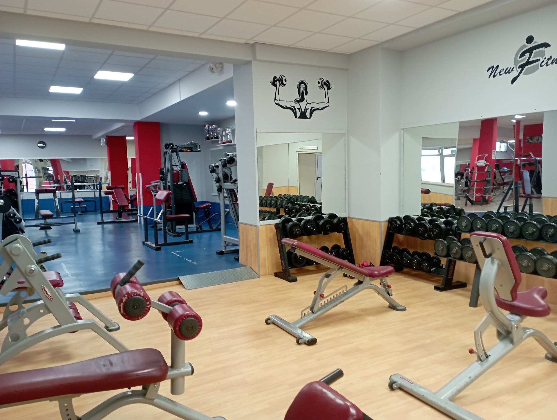 A.s.d. Palestra New Fitness