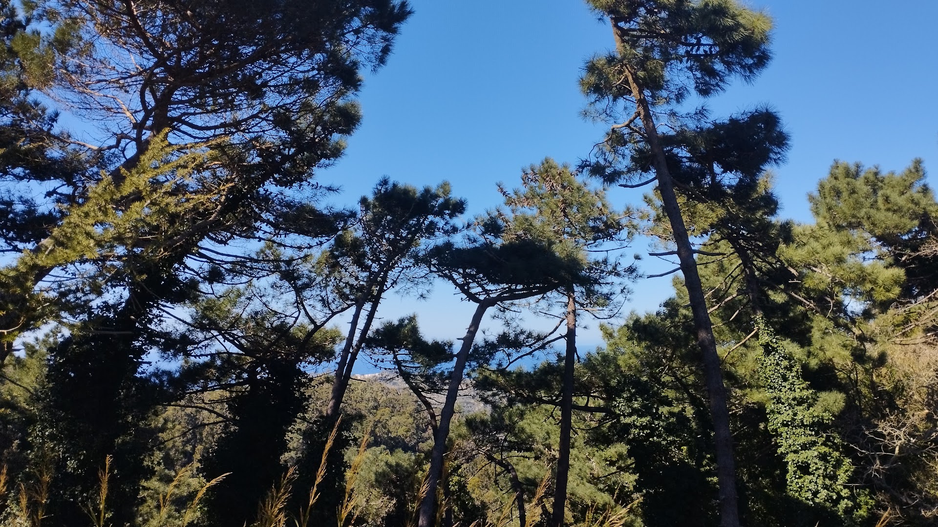 Colli San Rizzo Hiking Experiences