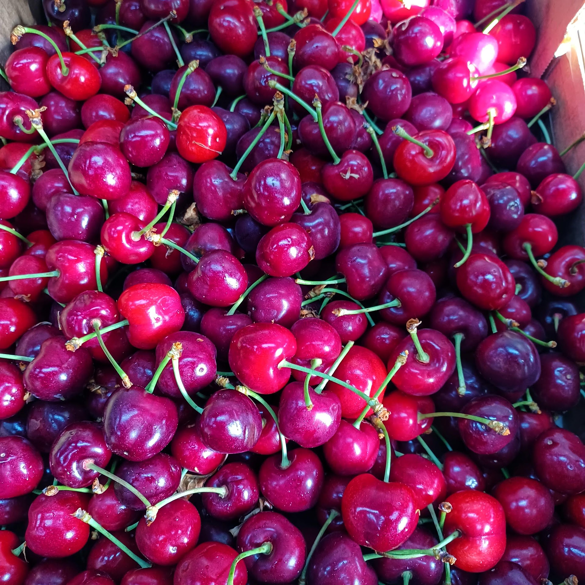 La bottega della frutta-F.lli Mibelli