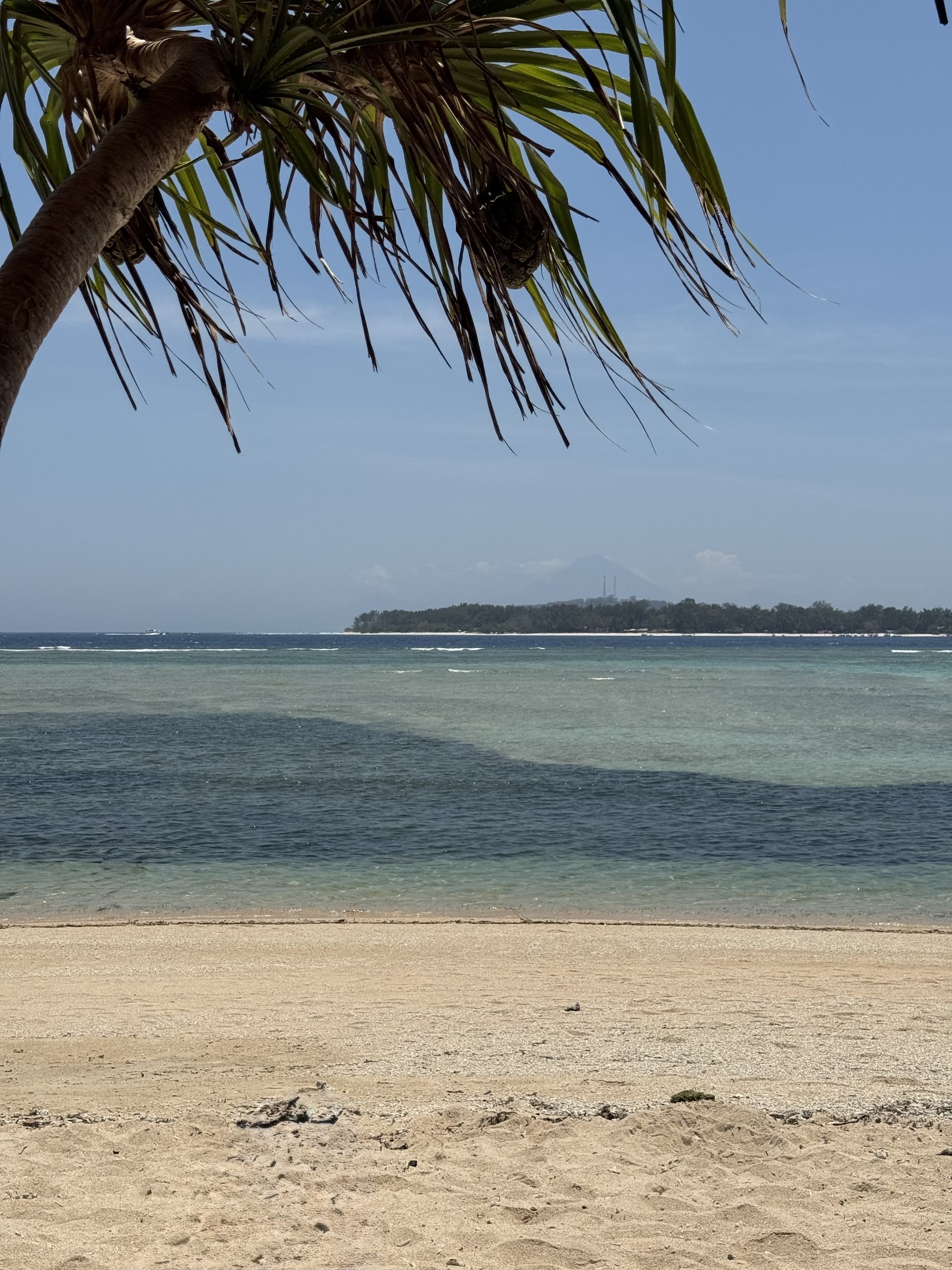 Coral Beach