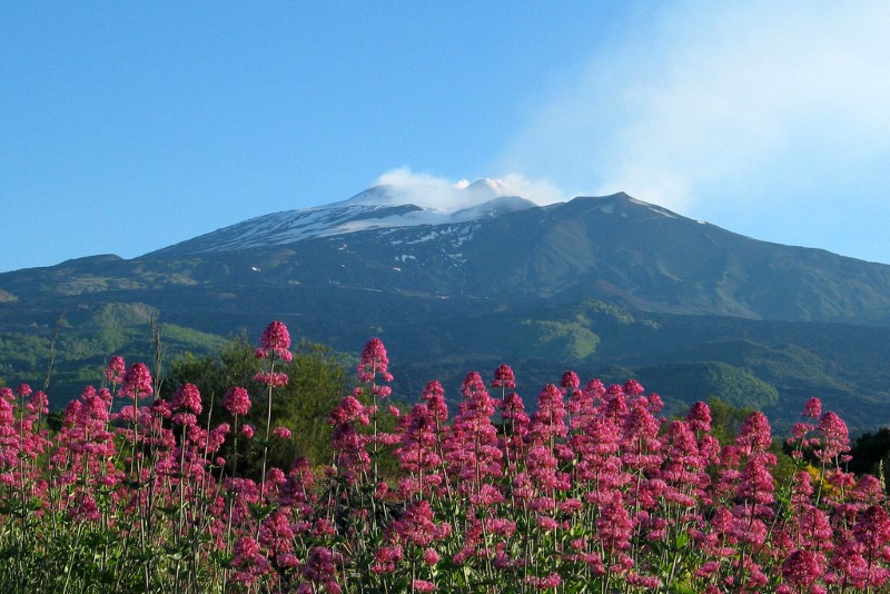 Visit Etna - Excursions & Tours in Sicily