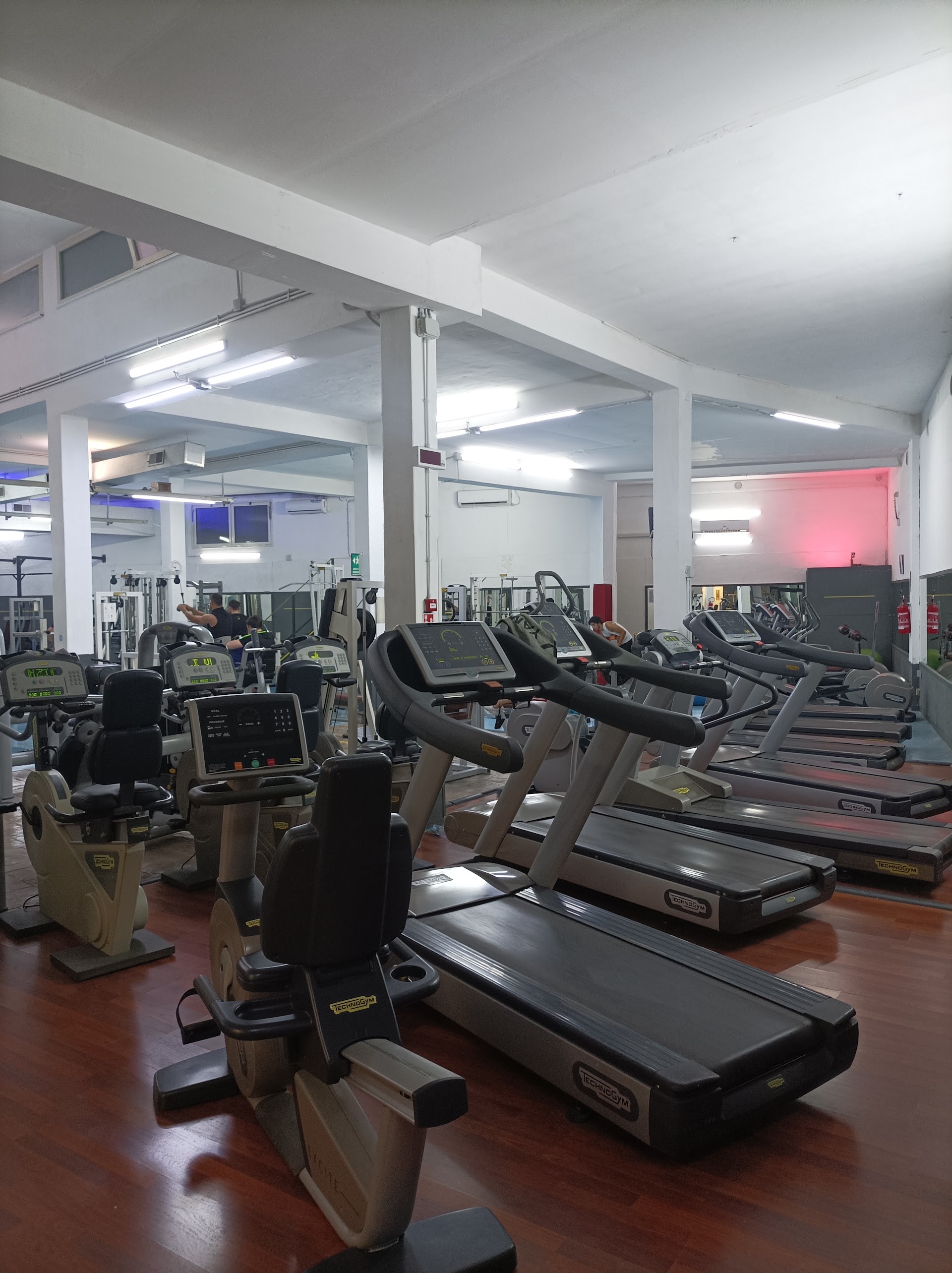 Blugym - Da Vinci - Palestra - Fit4you