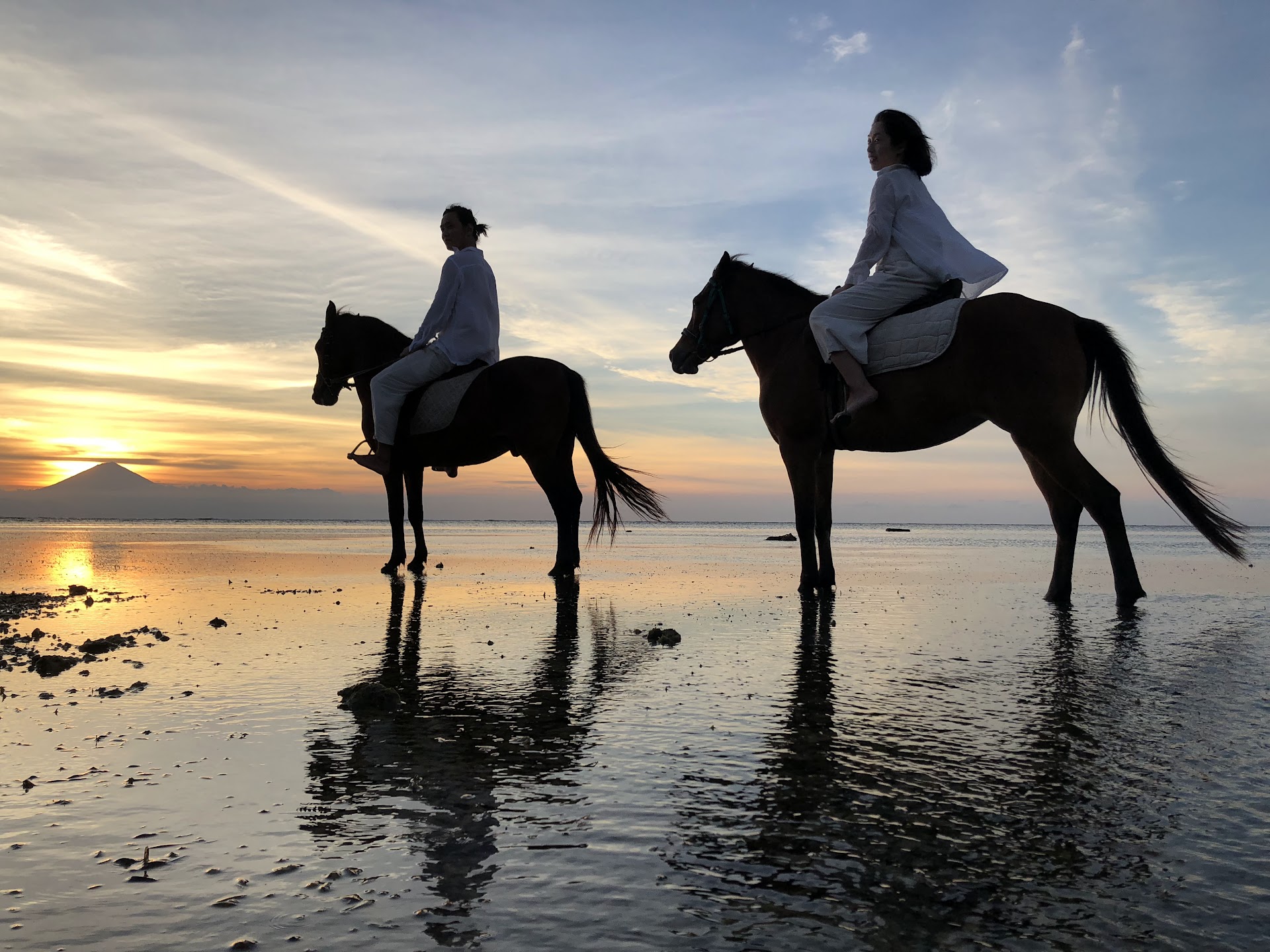 Sunset Stables