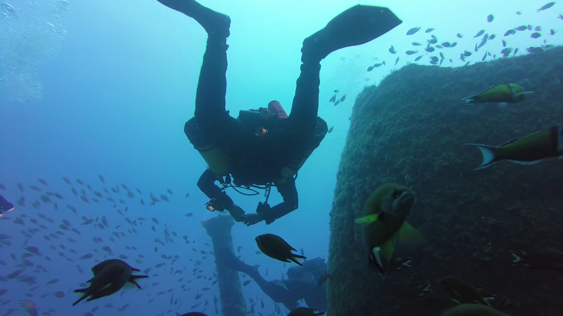 Cipreia Dive Club Madeira | Porto Santo