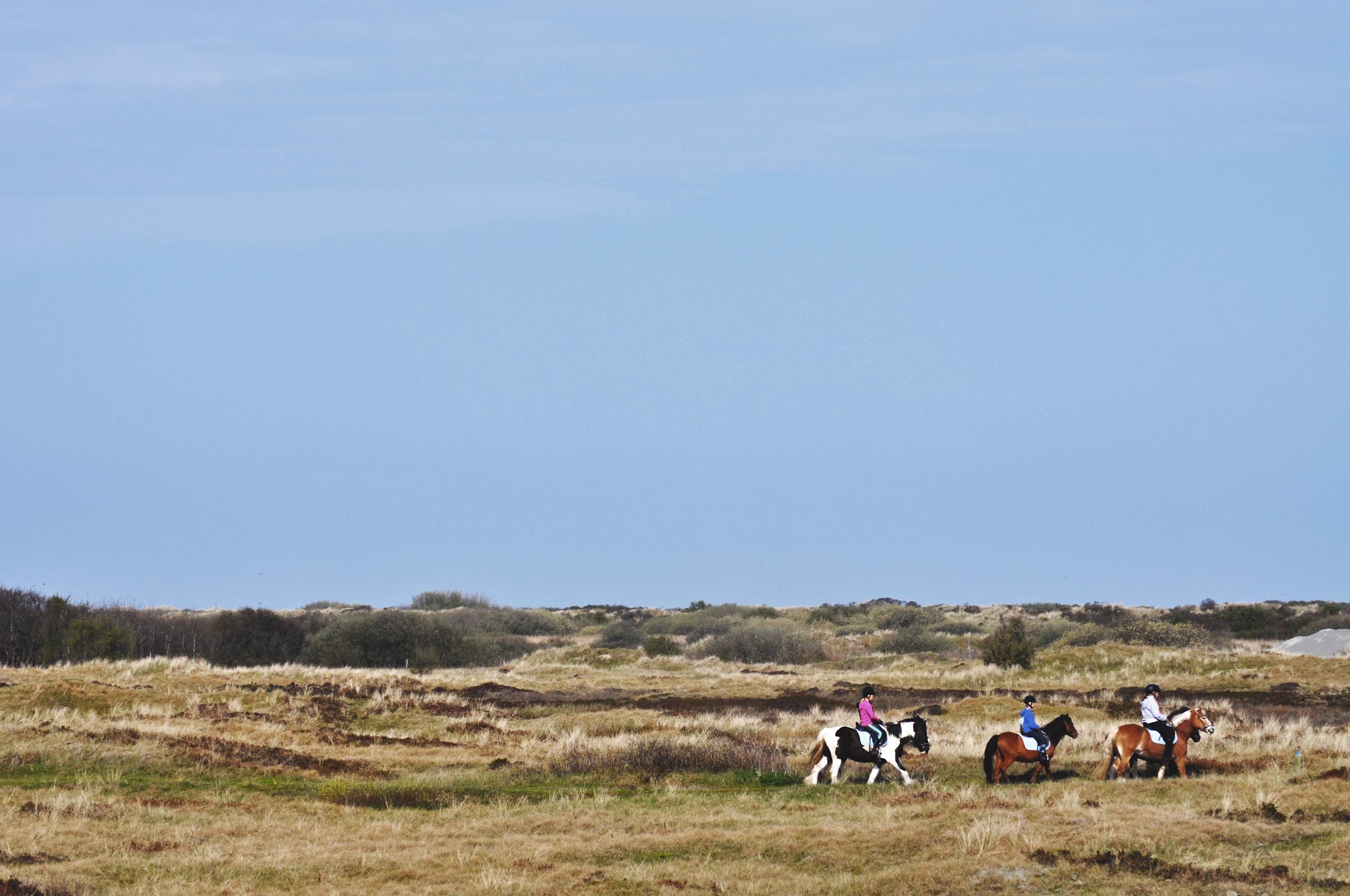 Rijstal Le Cheval π
