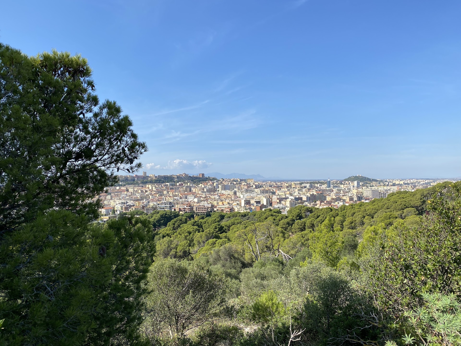 Parco di Monte Urpinu