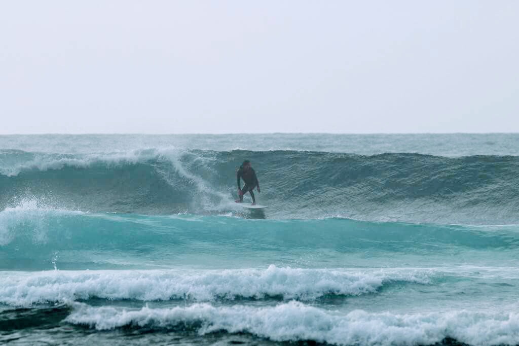 Ocean Life Tenerife Surf School & Experiencias - Playa De Las Americas