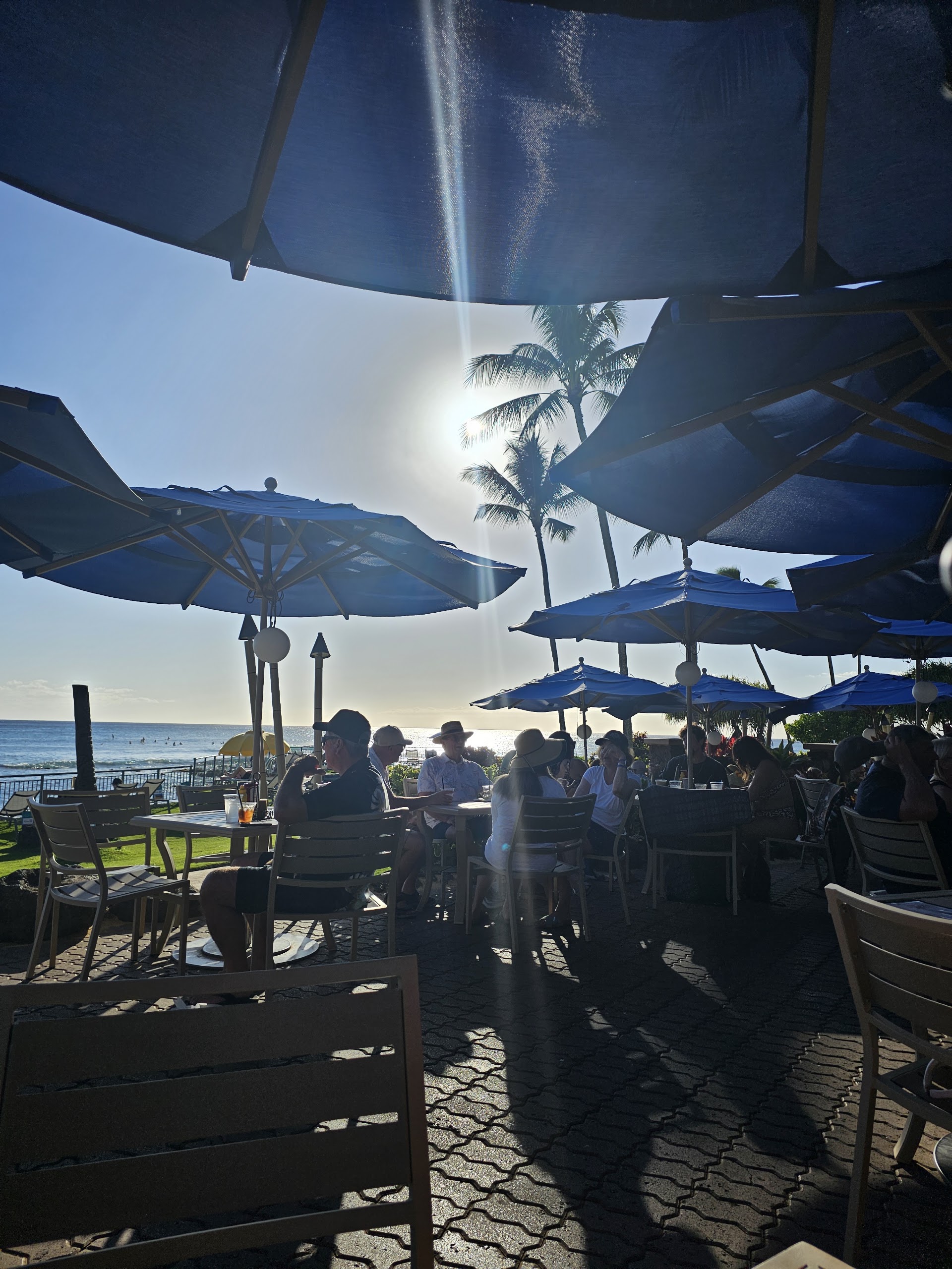 Honu Bar