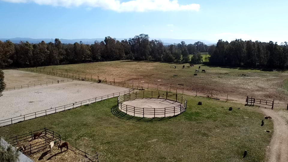 ASD Centro Ippico New Farm