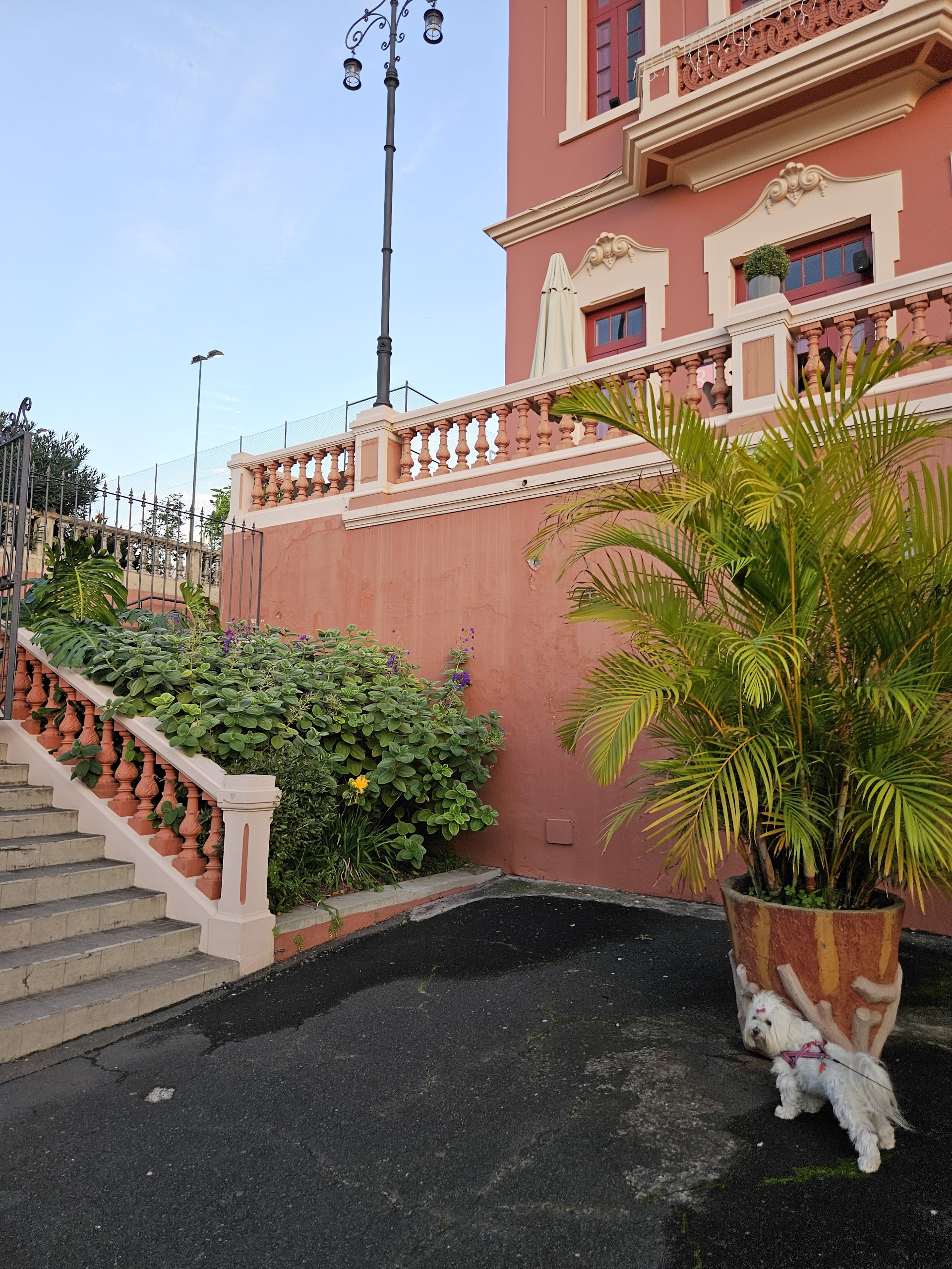 38300 Orotava Training Center