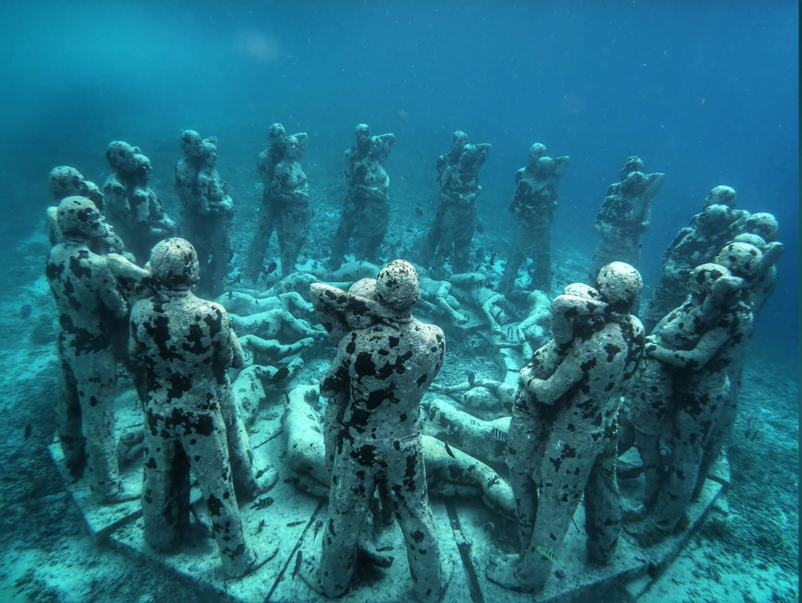 Bask Nest underwater sculptures