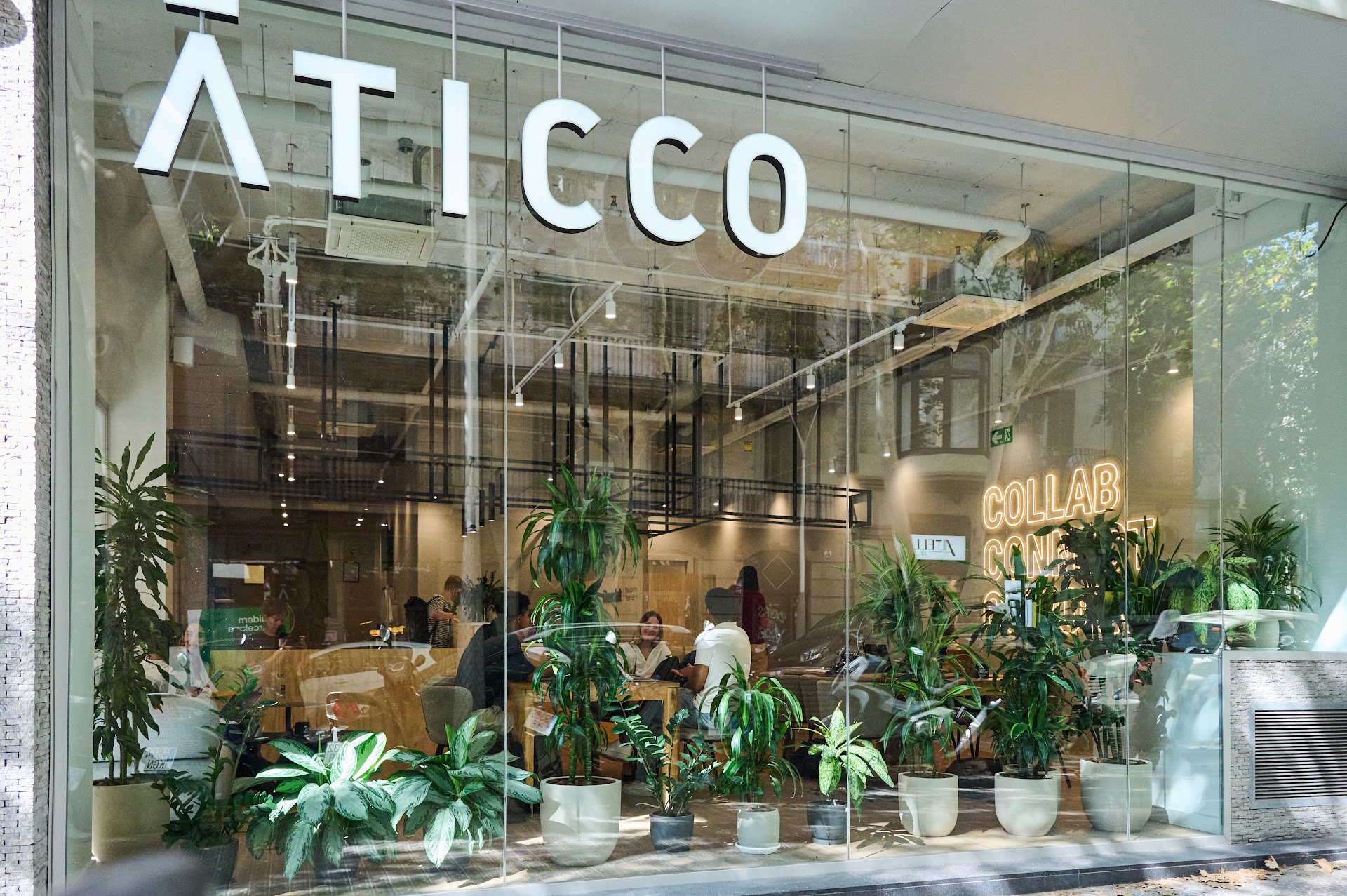 Aticco Bailén - Coworking Eixample Dreta