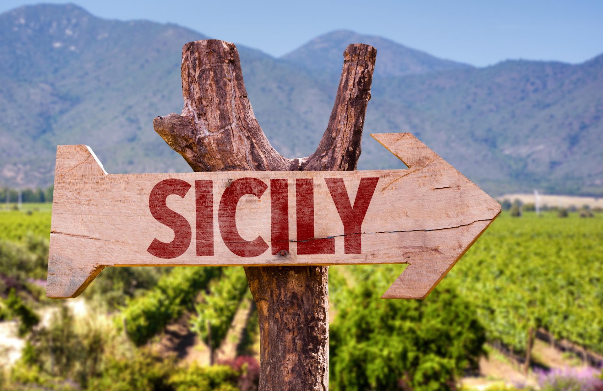 Wine Tasting Sicily - Sicilian wines tasting