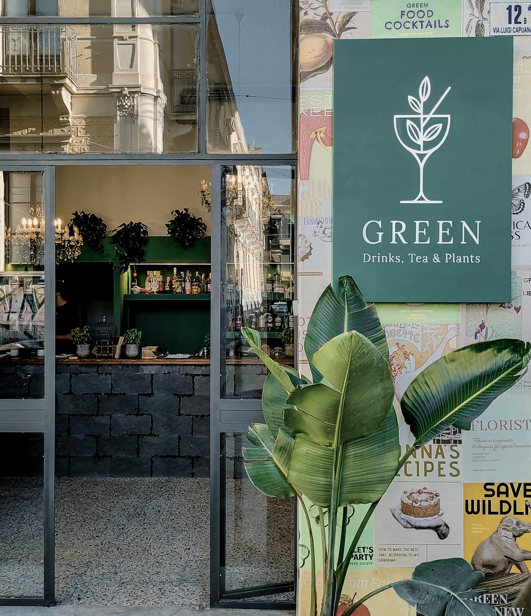 GREEN - Drinks, Tea & Plants
