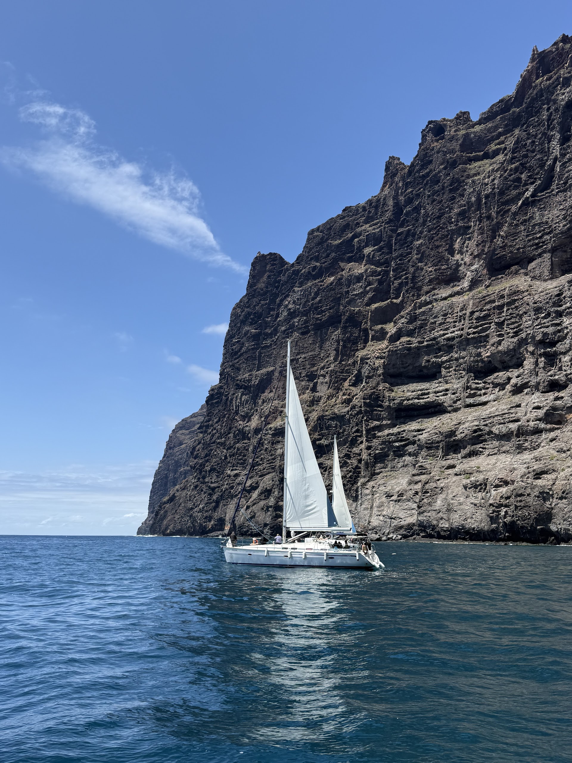 Picarus Sailing Club, Avistamiento de Cetáceos , Los Gigantes, Tenerife