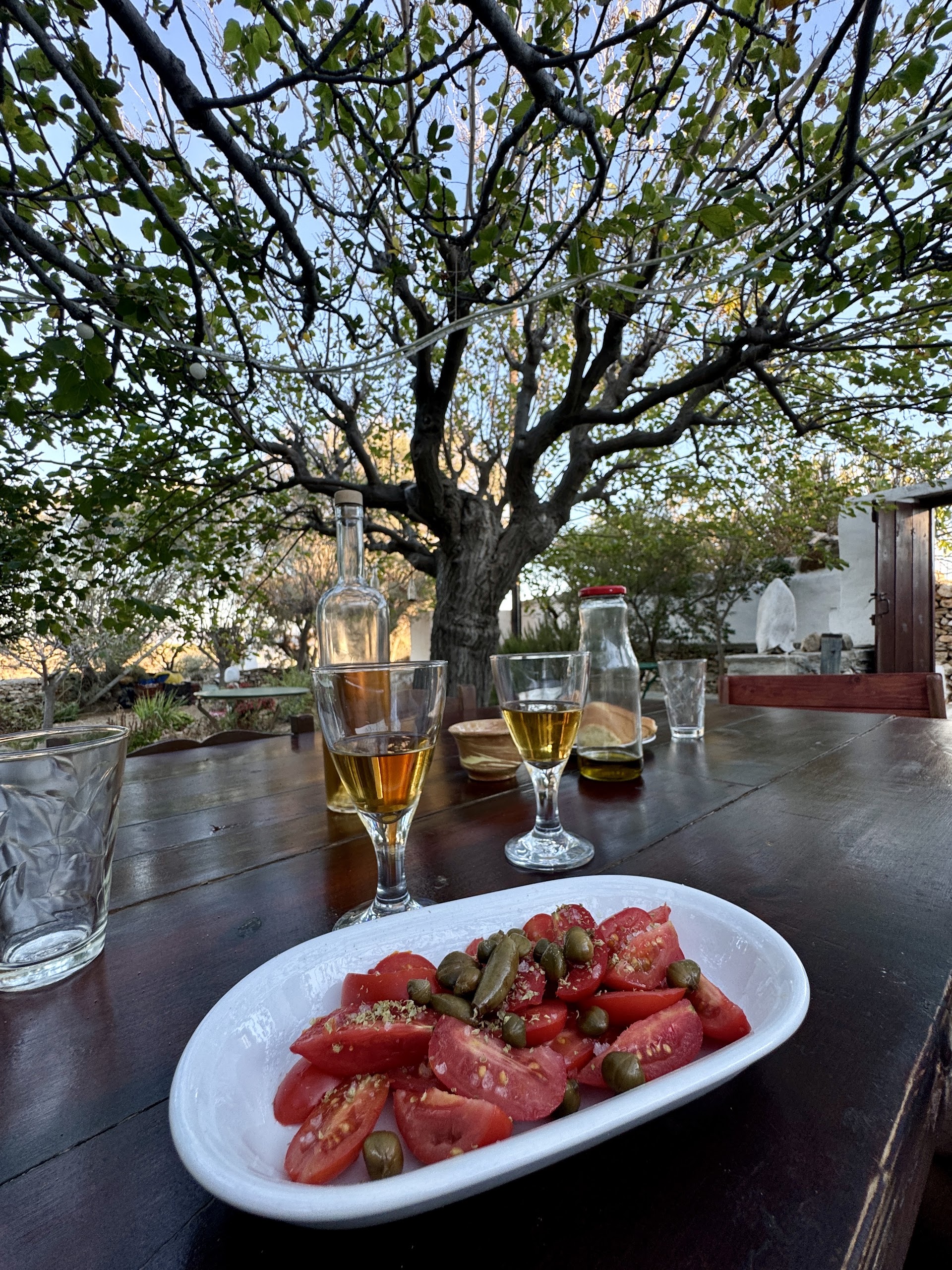 Alissafi Winery