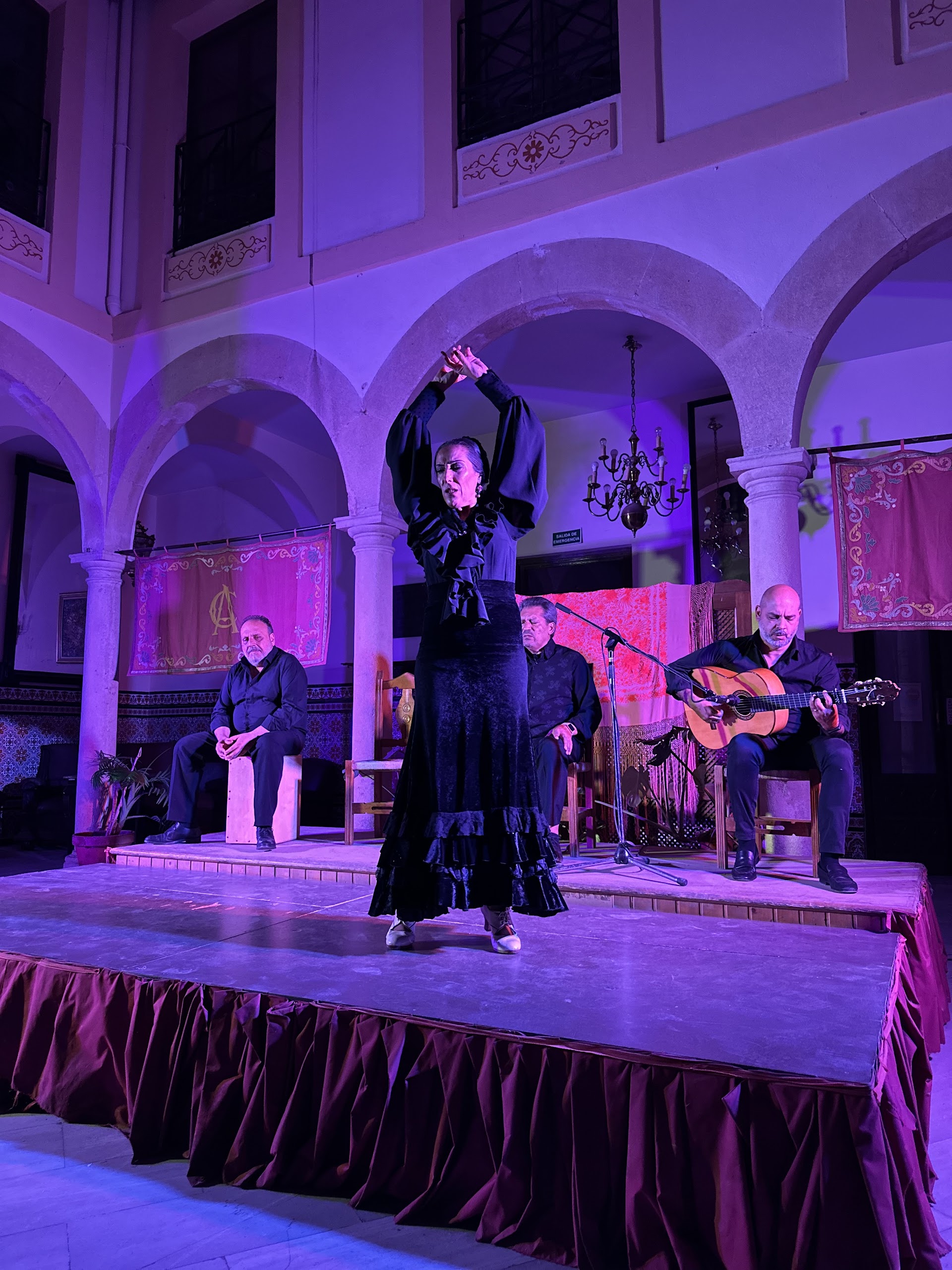 Ronda Flamenca
