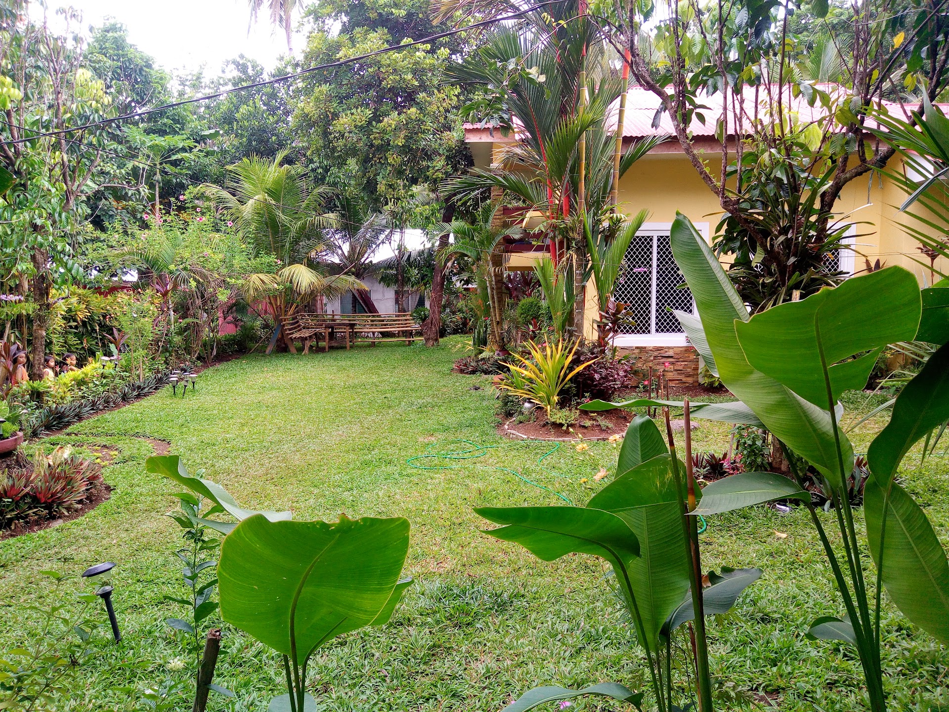 Mahinog