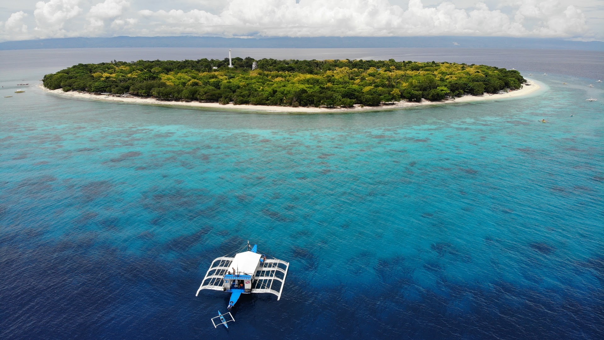 Diving & Snorkeling in Alona Beach