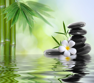 Zensations Massage Therapy