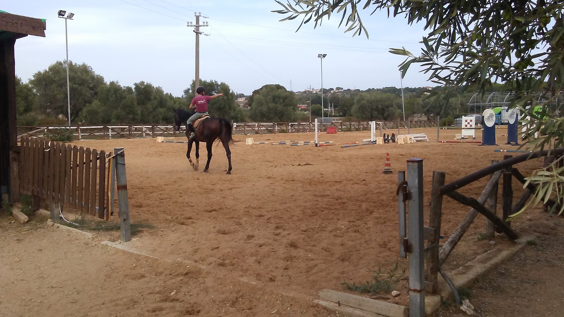 Camel Riding in Modica