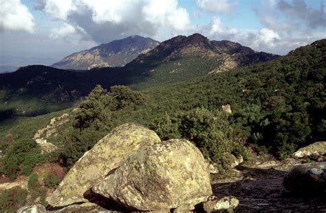 Riserva Naturale di Monte Arcosu Uta