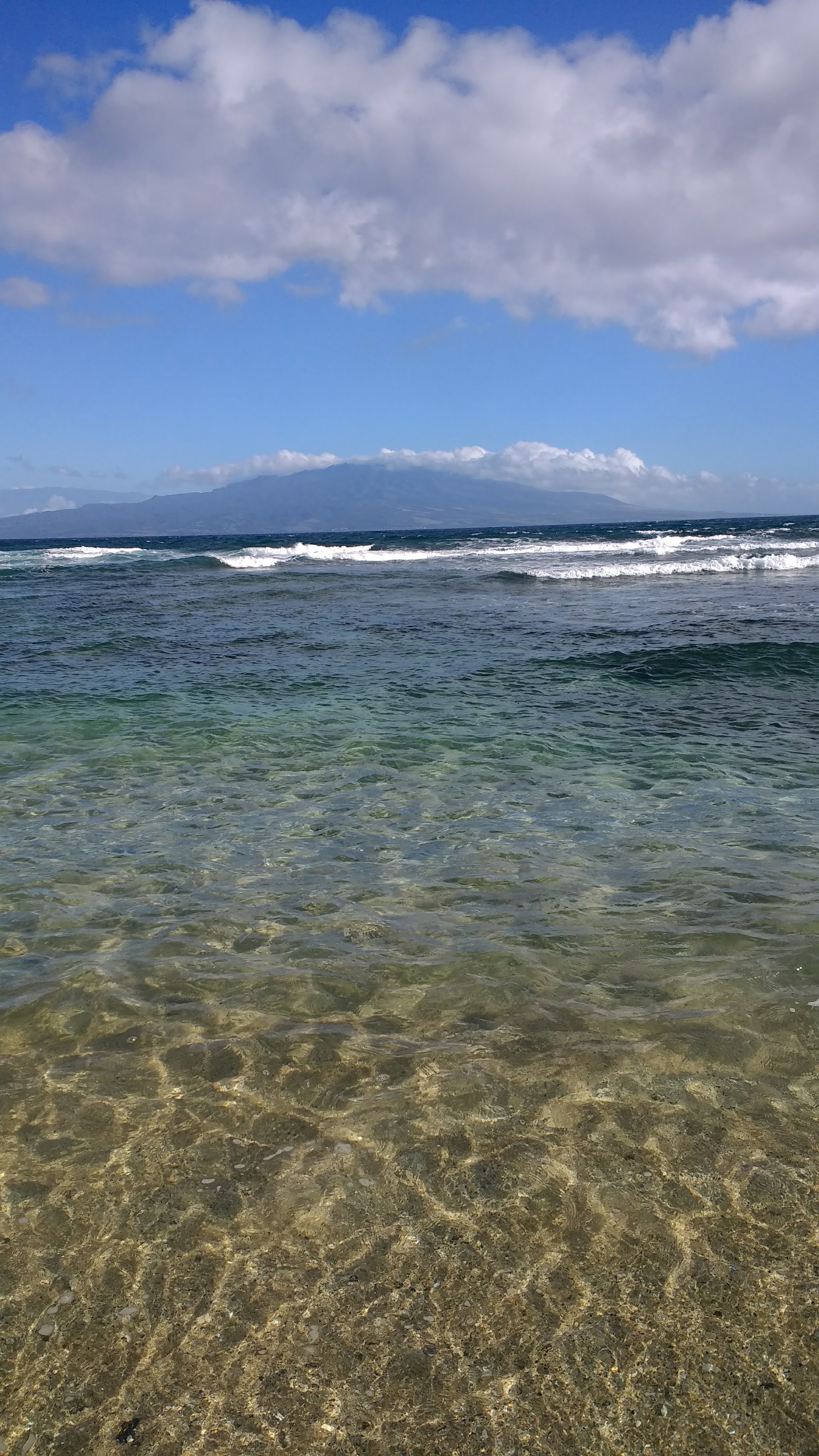 Fun Hogs Hawaii