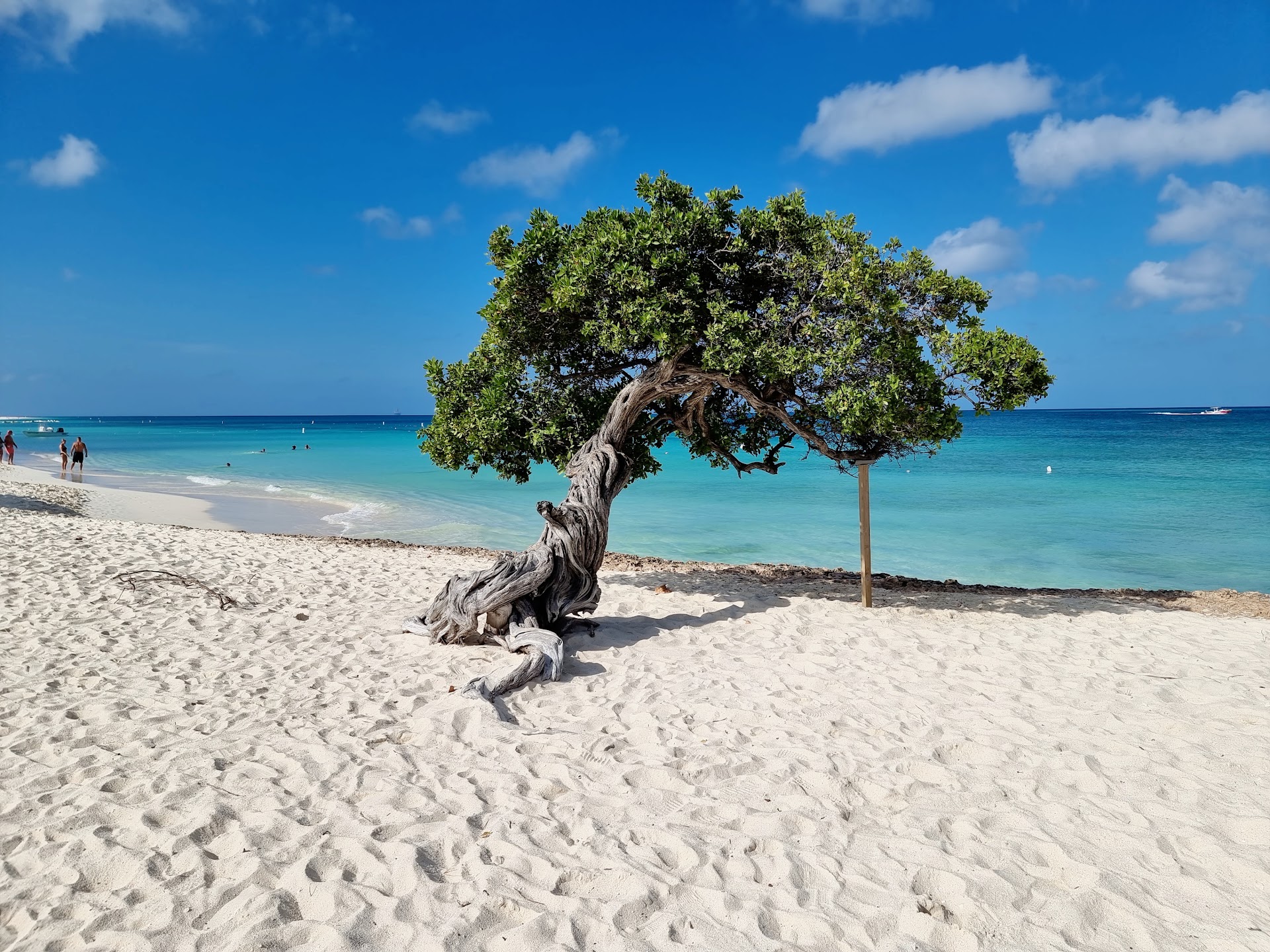 Playa de Eagle
