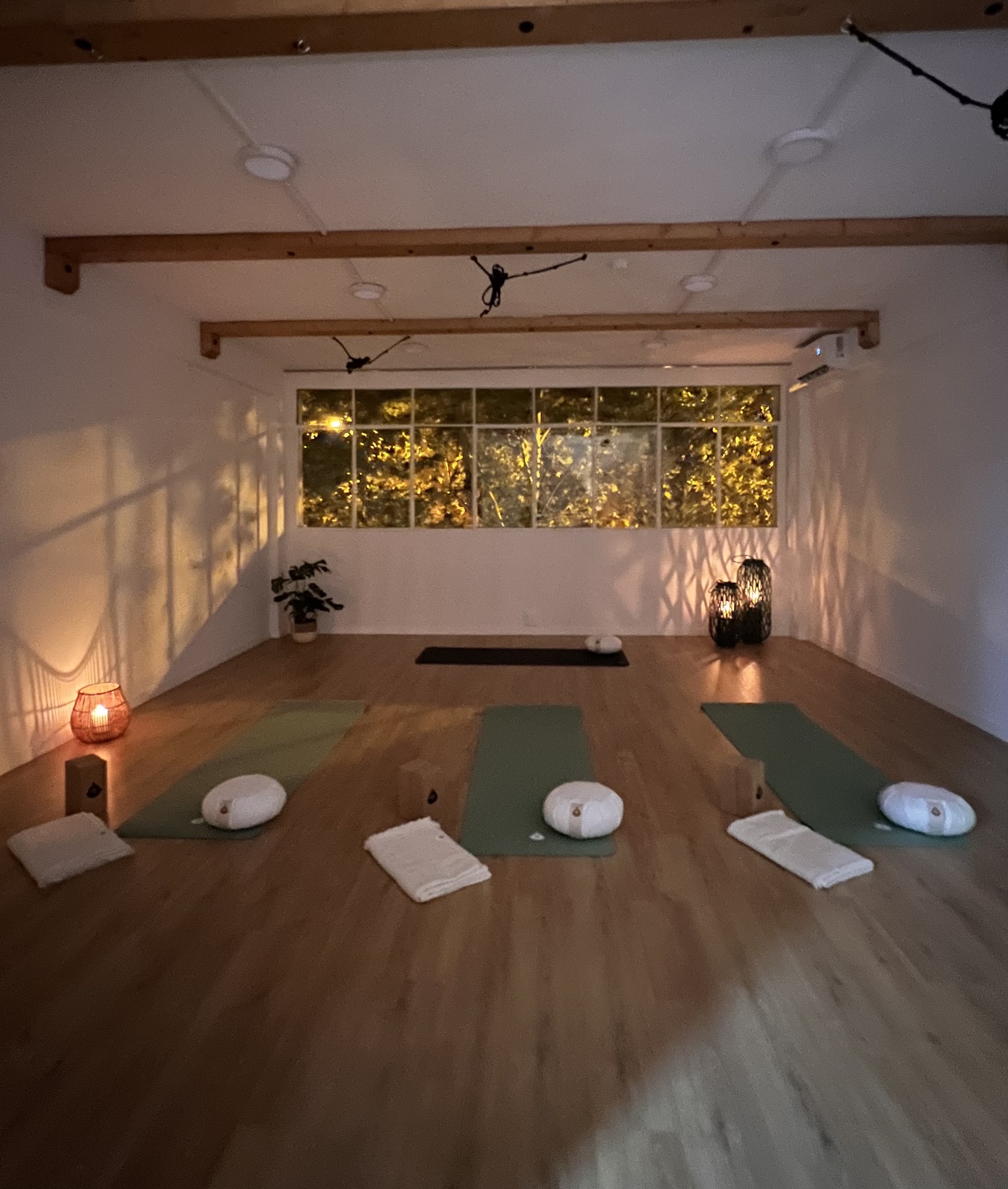 Renacer studio yoga