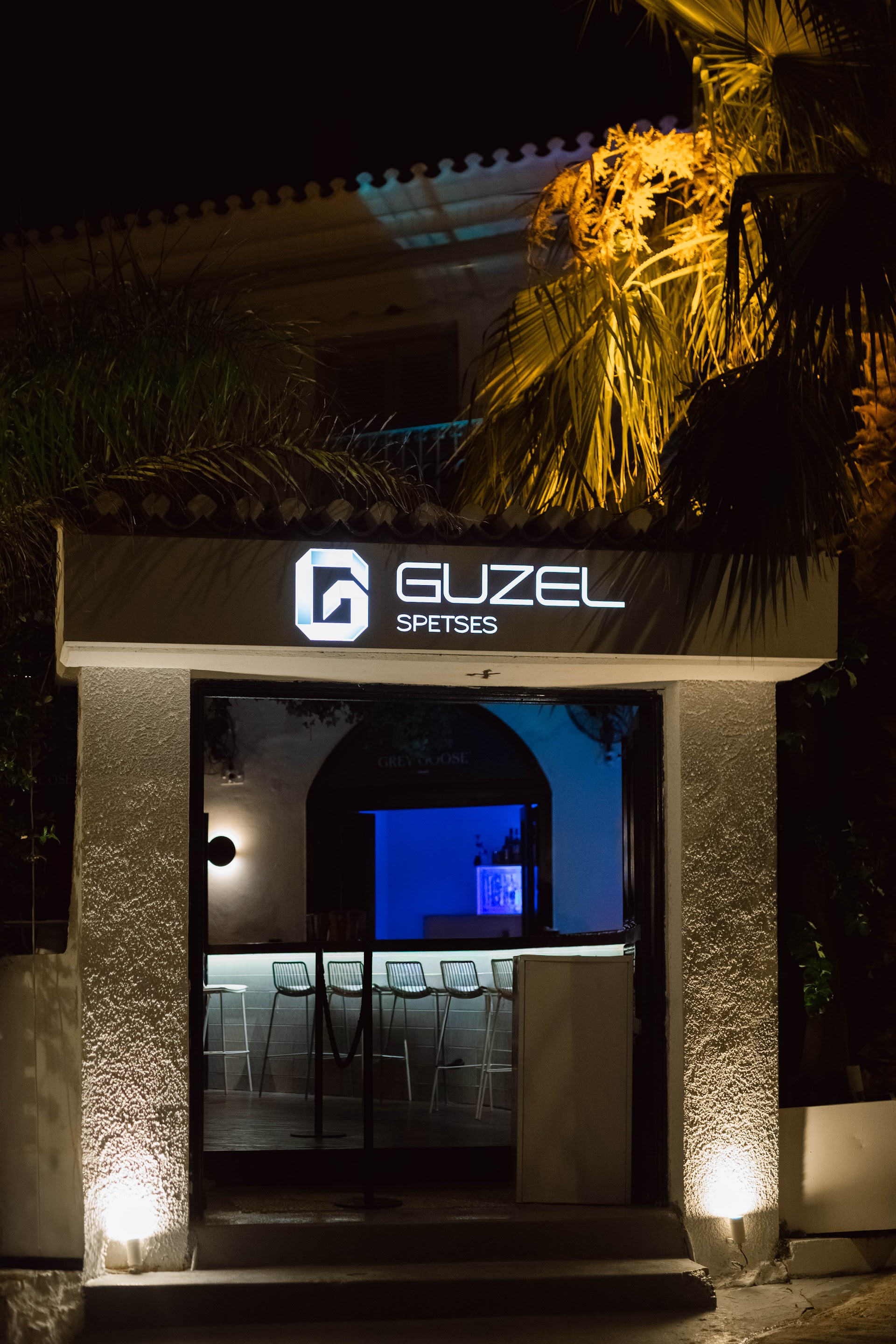 Guzel Spetses