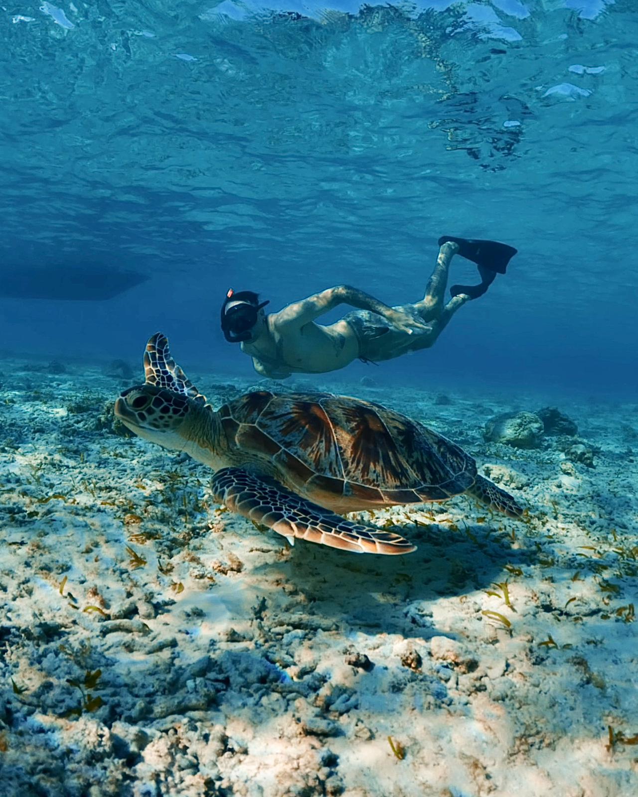 TRAWANGAN SNORKELING TRIP